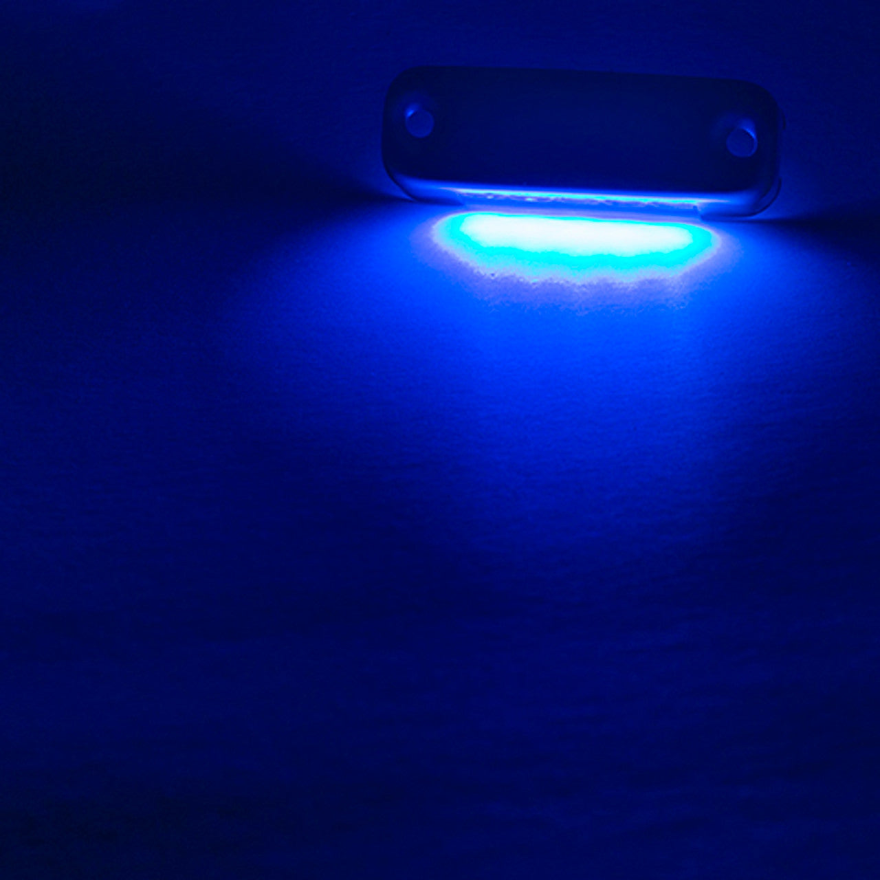 RV LED Outdoor Lights | Surface Mount | Stainless Steel Trim | 15 Lumens Exterior Safety & Accent Lighting