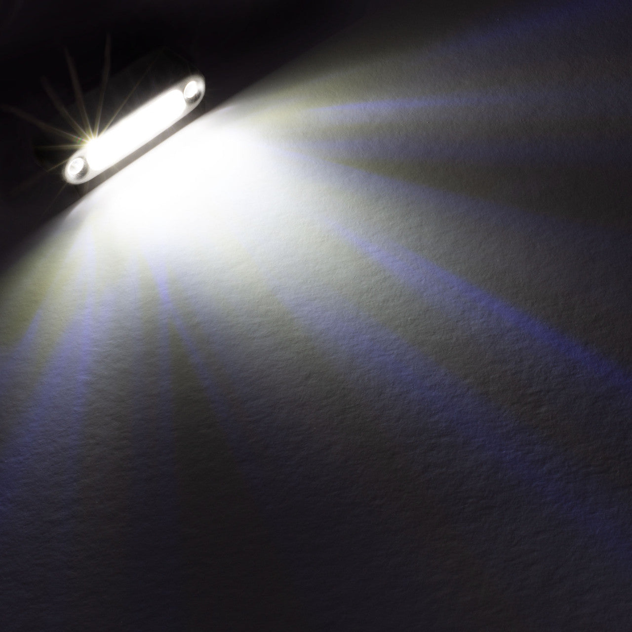 RV LED Outdoor Lights | Surface Mount | Stainless Steel Trim | 15 Lumens Exterior Safety & Accent Lighting