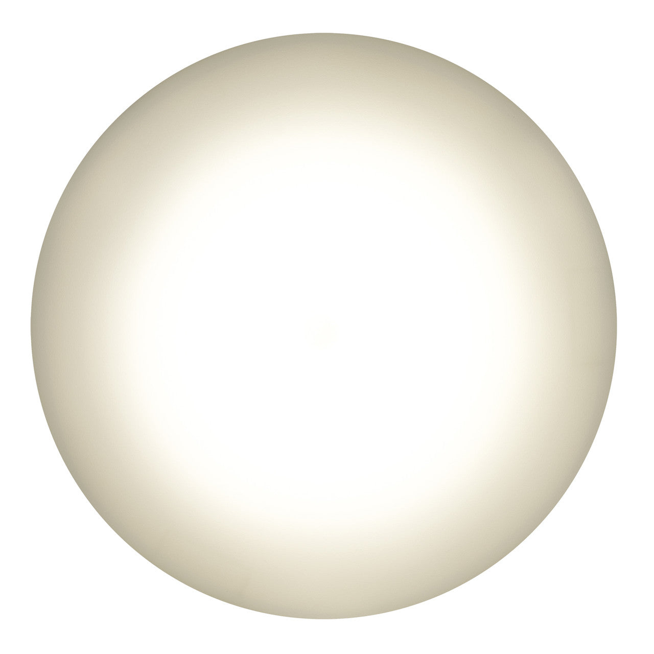 RV Surface Mount Ceiling Light | 4.5" LED 12V | Interior Lighting