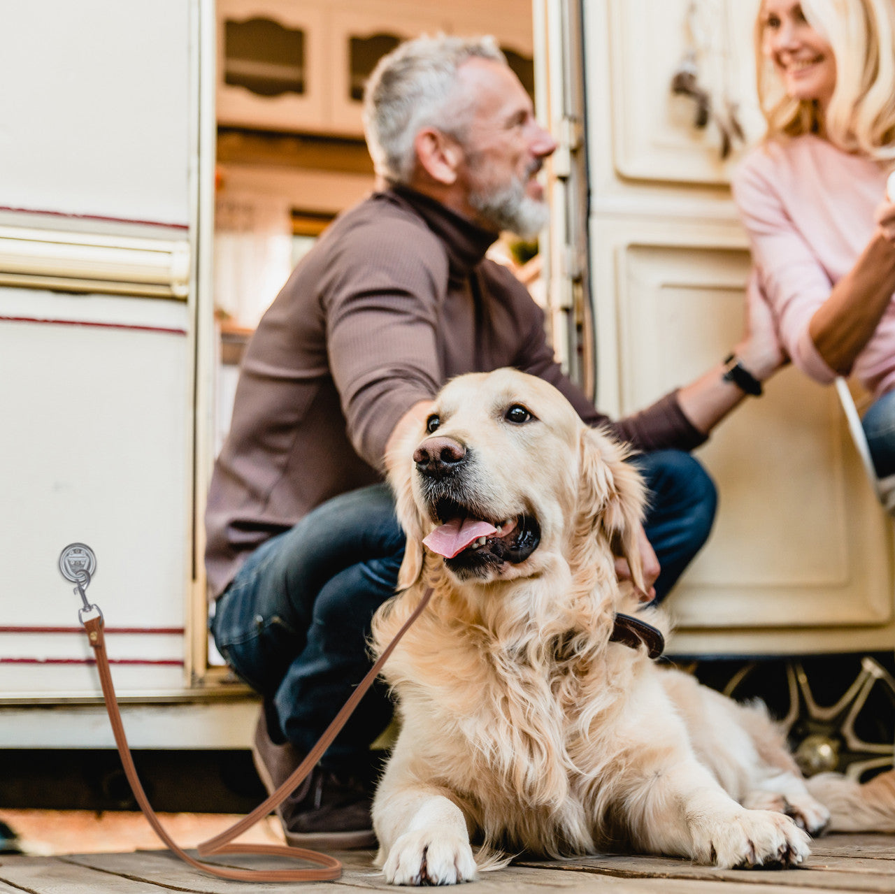 RV Dog Leave D-Ring | Surface Mount | 1,500 lb Capacity