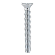 RV Ladder Bolts  ¼" x 20" x 2 ½" Silver | 4 Pack