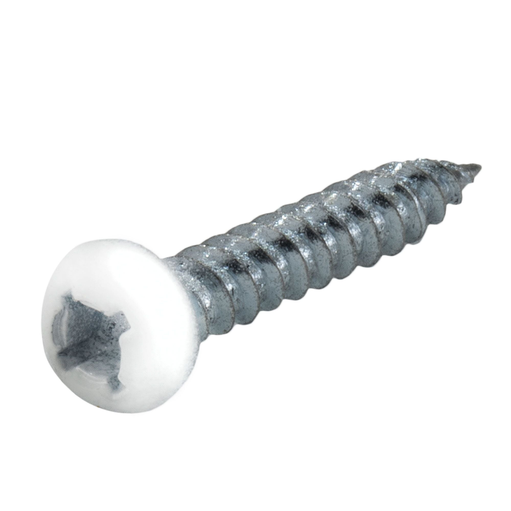 RV Phillips Screws | Pan Head | 8x1" | White