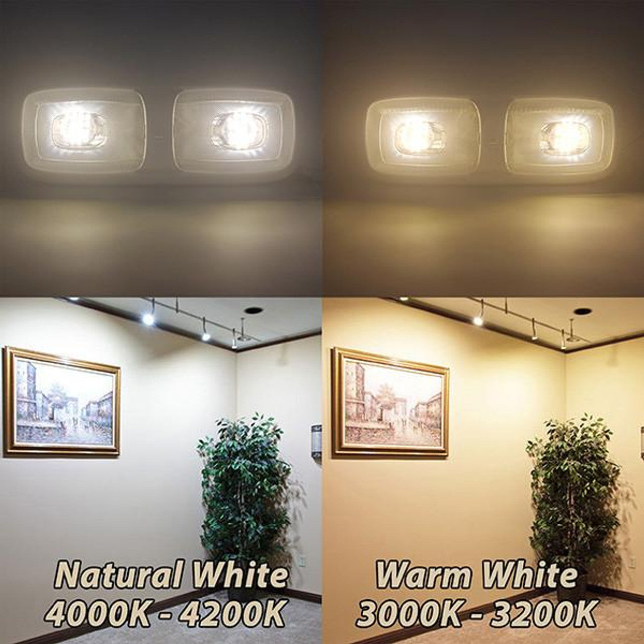 RV Double Dome Pancake Light | LED 3200K | Interior Lighting | Warm White