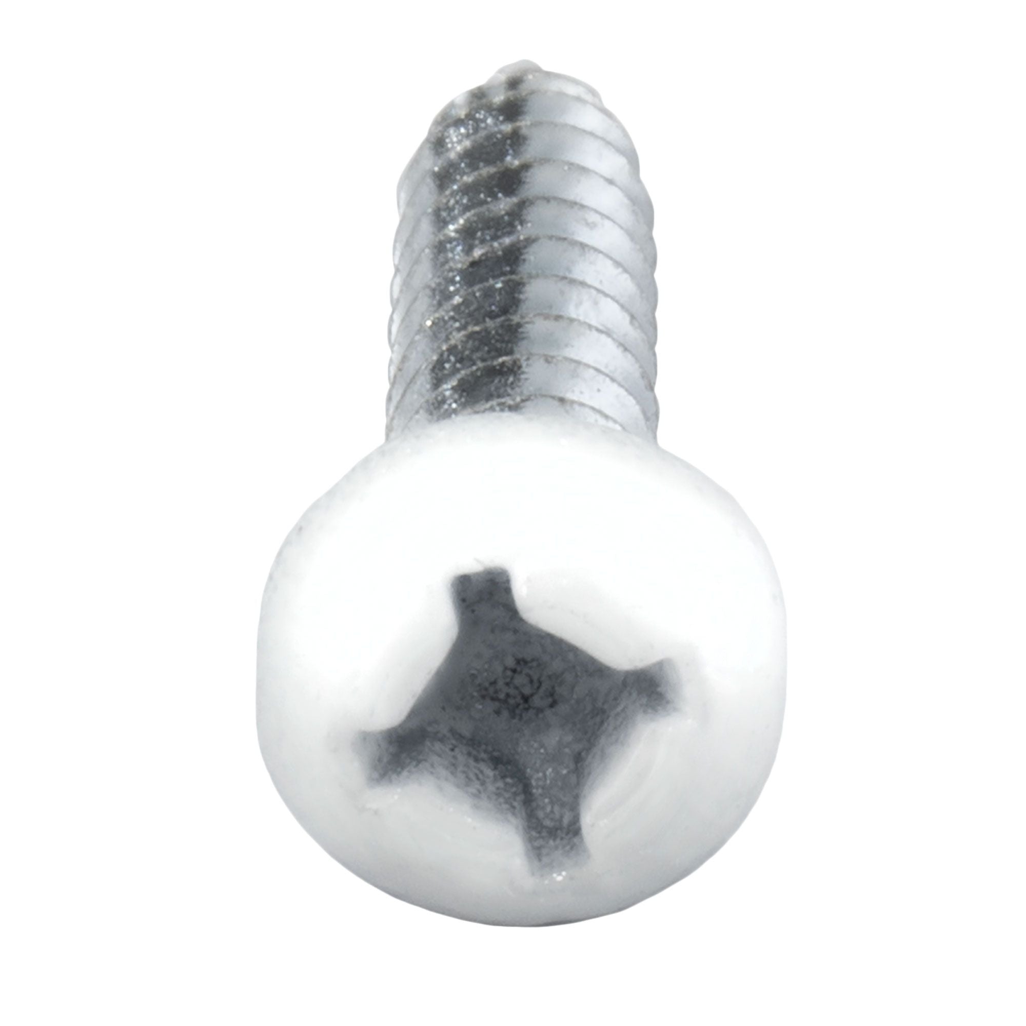 RV Phillips Screws | Pan Head | 8x1" | White
