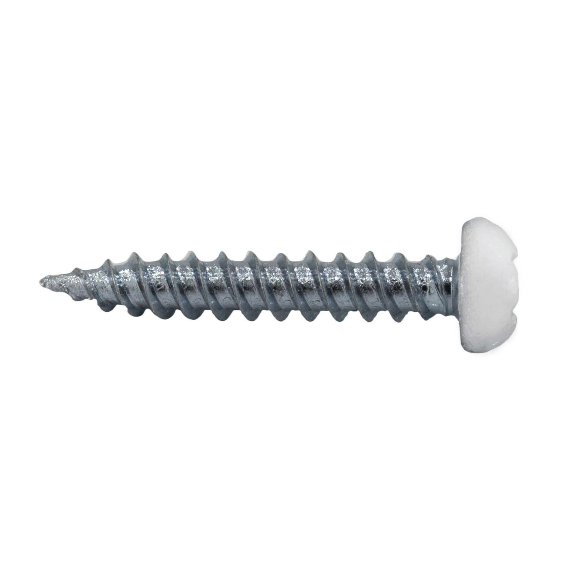 RV Phillips Screws | Pan Head | 8x1" | White