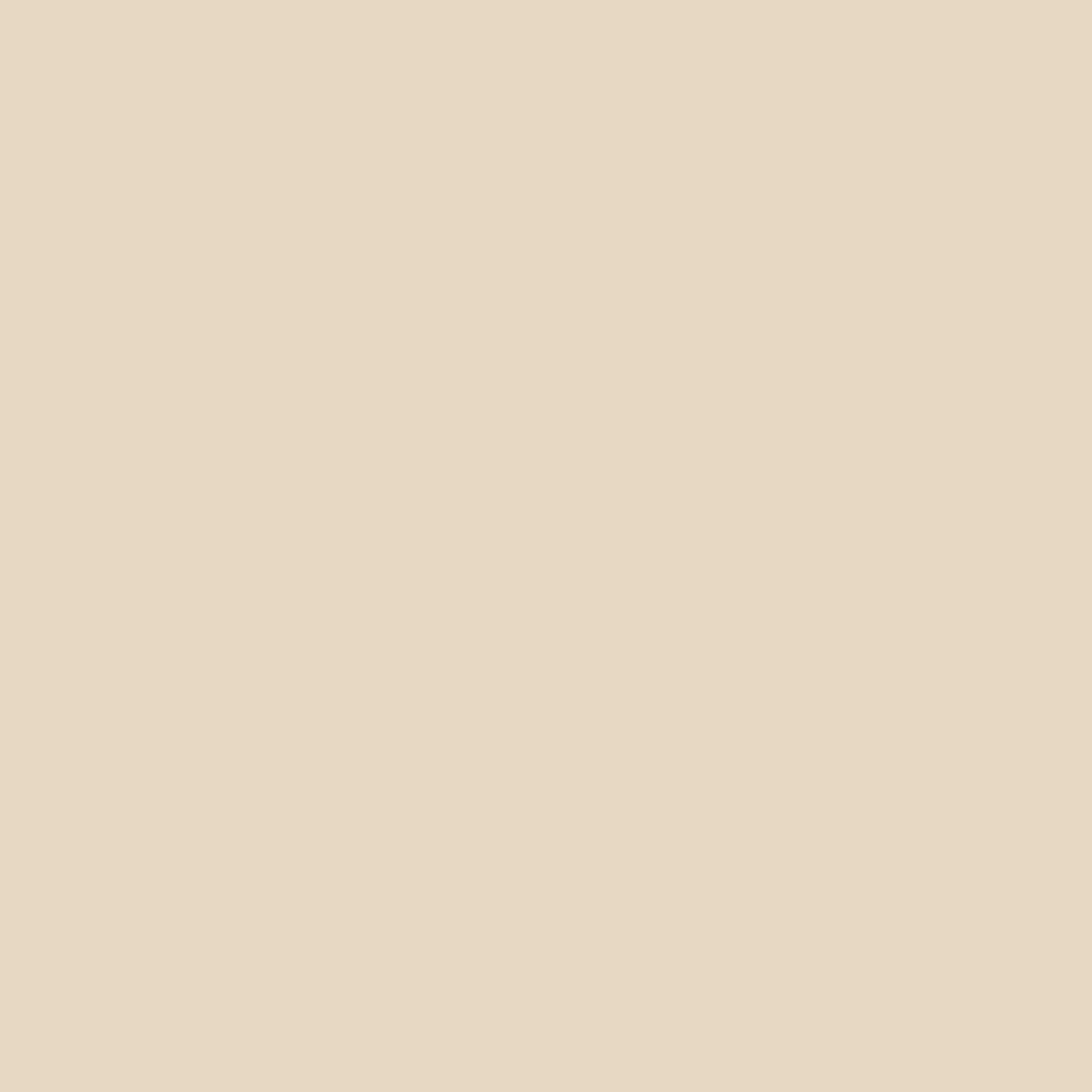 RV PVC Rubber Roofing Material | Tan