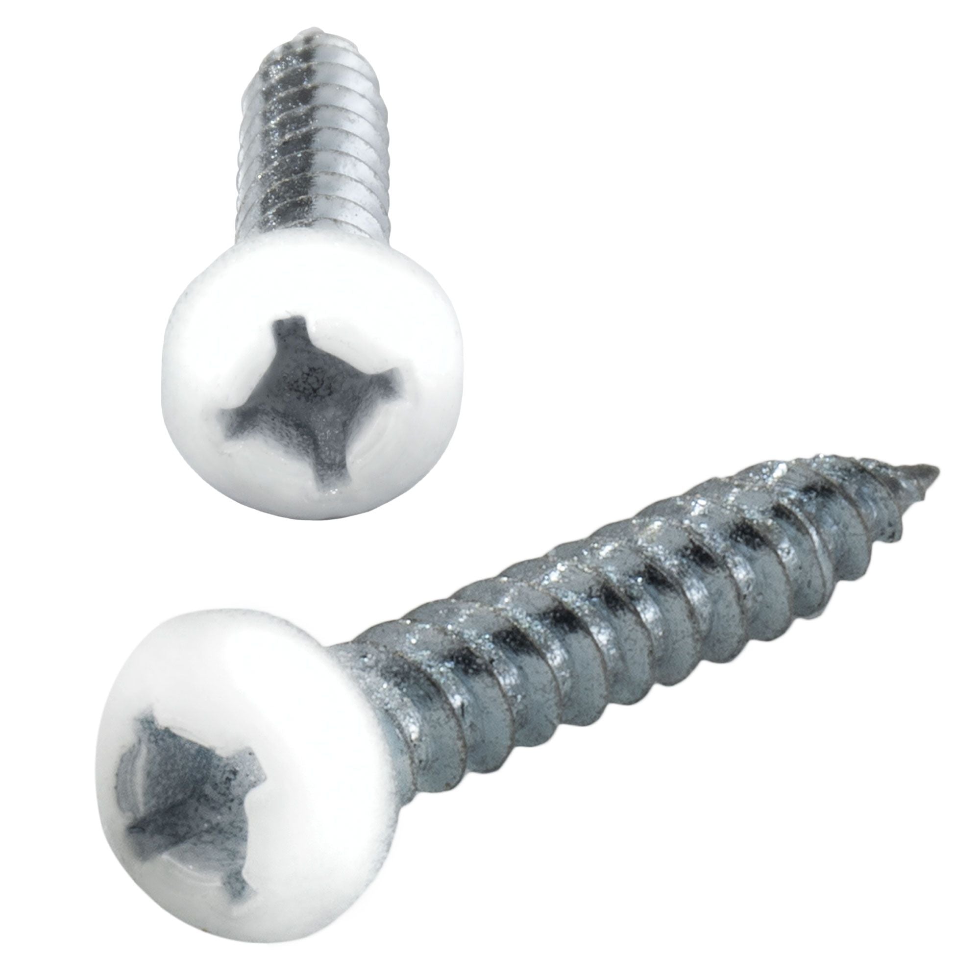RV Phillips Screws | Pan Head | 8x1" | White